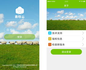 從巨龍軟件到奧龍信息 西安信息技術企業的發展軌跡