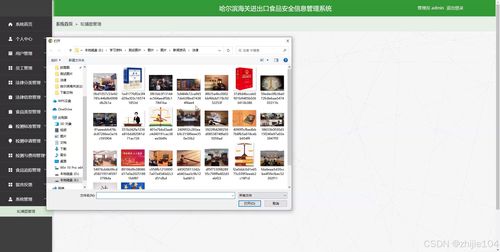 基于django vue vue哈爾濱海關進出口食品安全信息管理系統 計算機畢設